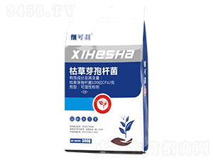 500g�ݲ�ѿ�ߗU��-��(x��)�Ʉx-���ý�