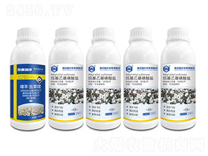 �޻�Ó�~��+����һ������}-�������