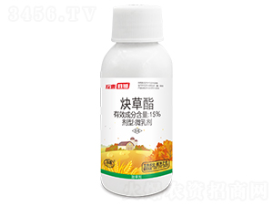 15%Ȳ����΢�鄩-���݄��z-����