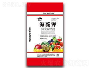 �����á������-ʩ����