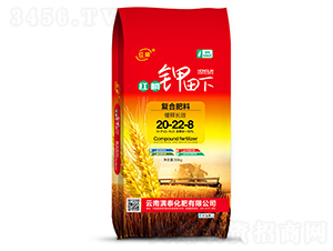 �t������ͺϷ�20-22-8-���M̩