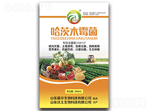 ����ľù��-��������