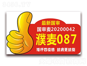 ���087-С���N��-�S�M�}