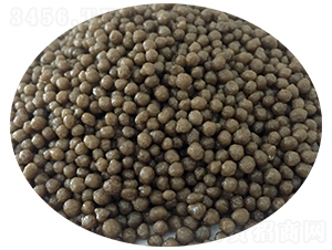 ������@�w��-��ʢ����