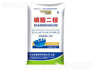 ������@-��ʢ�ʘI(y��)