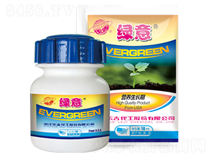 �I�B(y��ng)���L�ڌ����~���-�G��-���