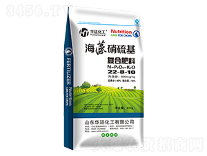 �����������(f��)�Ϸ���22-8-10-�A͢����