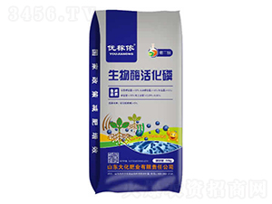 ����ø���-��(y��u)�ڝ�-��