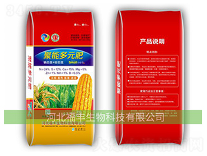 �ߵ��͏�(f��)�Ϸ�-���S����