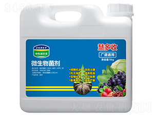 ΢�������-�۶���-�пƝ����S