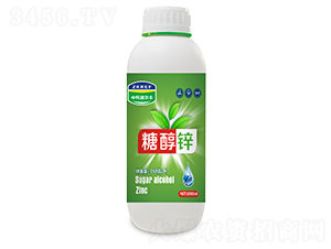 �Ǵ��\-�пƝ�(r��n)���S