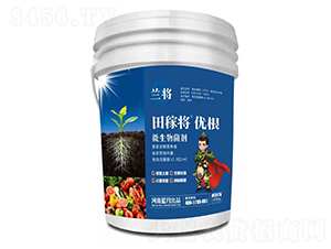 ΢�������-��ڌ�����(y��u)��-�{(l��n)���r(n��ng)�I(y��)