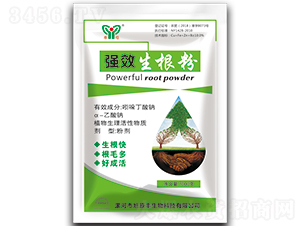 ��(qi��ng)Ч������-��ĸ-��ԭ�S