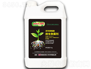 ΢�������-�ǵ�ʩ��-�|��