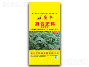 ���݌���������͏�(f��)�Ϸ���15-15-15-�Uţ-������