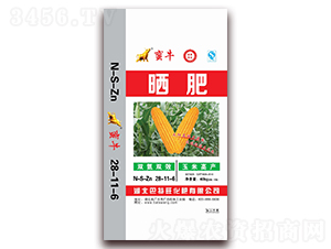 ���28-11-6-�Uţ-������