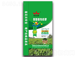 �������ЙC��-���A�ʘI(y��)