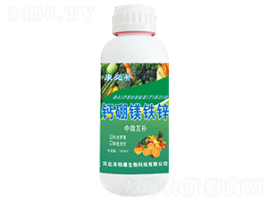 �}���V�F�\-�����a(b��)-���ؿ�