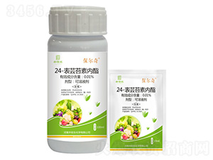 ​24-���|̦�؃�(n��i)��-������-�S�՘�