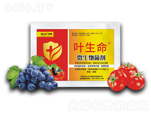 ΢�������-�~����-�f�_���r��