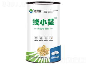 ΢�������-��С��-�����r(n��ng)�I(y��)