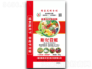 �򻯶������ߵ������＃�Z��-���S�@-�쌚����