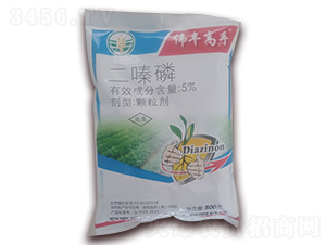 5%������w����-���S����-���S�r(n��ng)ˎ