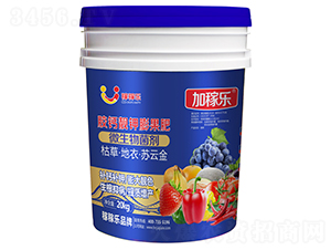 �z�}�n������-�Ӽژ�-�ڼژ�