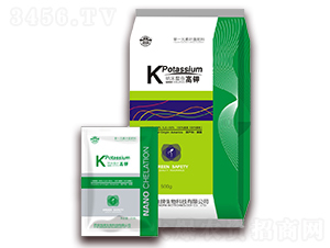 �{�����ϸ�⛷�-����