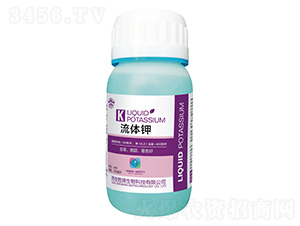 ���w�-����