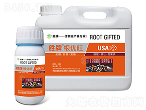 ΢�������-����(y��u)��-����