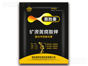 �VԴ�S�����-ِ����-����