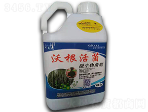 �ָ����-������-��������