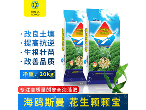 �����w����-�۾۶�