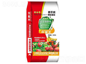 ΢�������-�r(n��ng)����