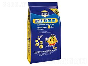 5�|΢�������-�r(n��ng)����