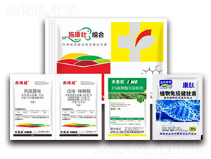 ʩ���ѽy(t��ng)���y(t��ng)�νM���ײ�-�滯���h(yu��n)