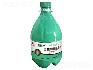 ΢�������-����(d��ng)��-���r(n��ng)�I(y��)