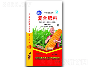 ���\���׌��÷�28-6-6-������