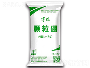 �w����ʩ���-����