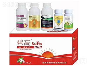 �������a�ײ�-�̸�-�S�՘�