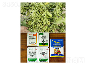 �����߮a(ch��n)�M���ײͣ����ǌ��ã�-�֝M�@-�Z�M��