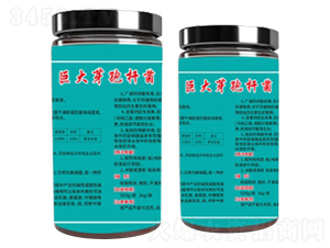 �޴�ѿ�ߗU��-ָ���