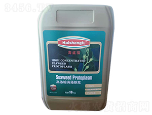 10kg�ߝ�s����ԭ�{-��ʢ��