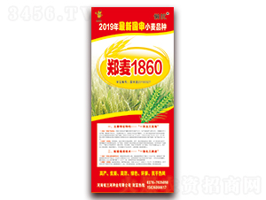 ����1860-С���N��-���ӷN�I(y��)