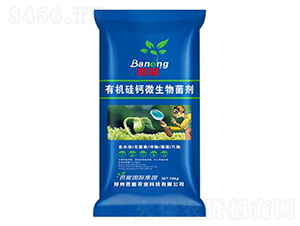 �ЙC(j��)���}΢�������-����