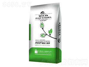 �������⛣����b��-��N