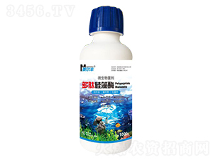 ���Ĺ���ø΢�������-�����S-���Π�