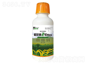 ΢�������-������2̖(h��o)-���Π�