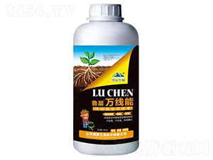 ���Y(ji��)���x�K�Y(ji��)�ߡ�ƿ��-�����f����-��������